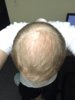 IMG_0827.JPG IMG_0827.JPG