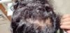 hair2.jpg hair2.jpg