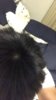 83F67835-39E8-4166-B02B-D0679B2D4D57.jpeg