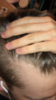 E3BF39C4-7556-4B65-BE32-1D4B7D5168C0.png
