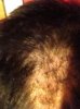 IMG_1764.jpg IMG_1764.jpg