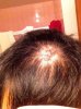 IMG_1772.jpg IMG_1772.jpg