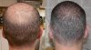 compare back.jpg