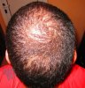 back03.jpg