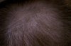 ss-IMG_2863.jpg
