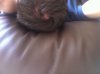 IMG_0689.jpg IMG_0689.jpg