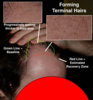 Estimated-Recovery-Zone2.jpg
