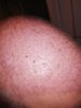 IMG_20180929_092343.jpg