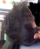 back.png