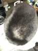 A6112BE2-7EA8-49E0-9576-961BD3A076EC.jpeg