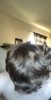 3D3FBE41-3932-428C-AEA0-4A54C7D0A9CA.jpeg