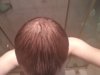 248183963170683160.jpg
