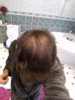 hairold3.jpg