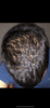 BE711B72-B62E-4589-8063-D60DC1CD0636.png
