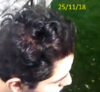 10.png