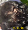 11.png