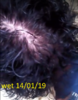 15.png