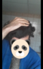 20190204_065800.png