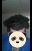 20190204_065657.png