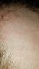 20190219_221205.jpg