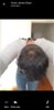 Screenshot_20190126-215501_Messenger.jpg