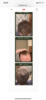 FE1A2F4A-D9D5-47A5-BCF0-F7BC7E1641A5.png