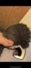 CE179CAC-5800-4AA4-8B6F-11DBD6343FF0.png