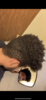 76B467FF-01E5-4431-90C6-454A608F044E.png