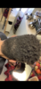 DA5F09D6-8755-4216-BA25-B3D84DD6084D.png