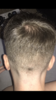 1D140EC5-F5FB-4072-B2C2-79F6B19A1ABD.png