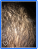 hair.png
