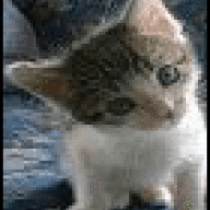Trebor