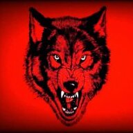 nWo Wolfpac