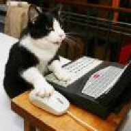 Quantum Cat