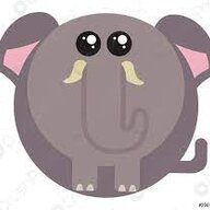 fatelephant