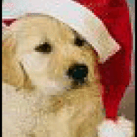 Funguy