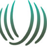 Bernstein Medical