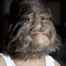 Finasterguy