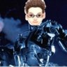 sunchyme1