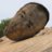 The Balding Boulder