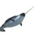 NarWhal7