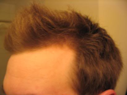 Picture002small.jpg