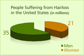 pie_chart2.gif