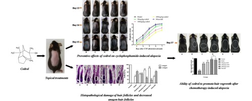 www.sciencedirect.com