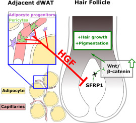 www.sciencedirect.com