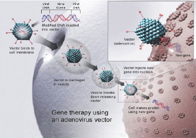 virocyt-x-640.jpg