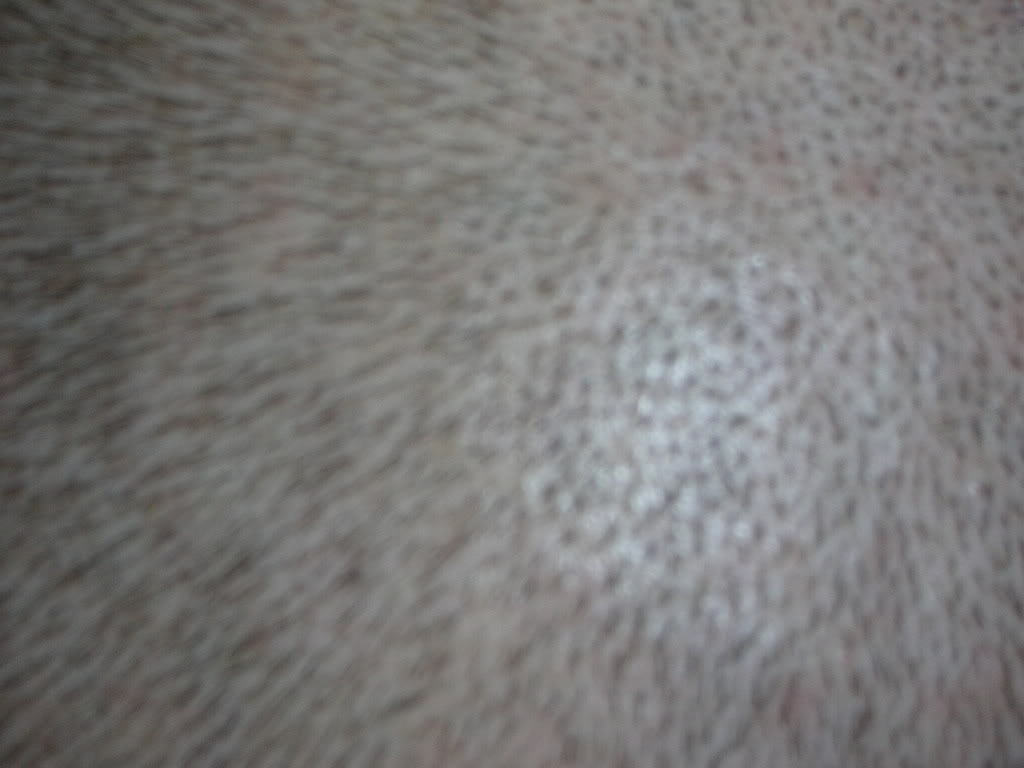 DSCN0914.jpg