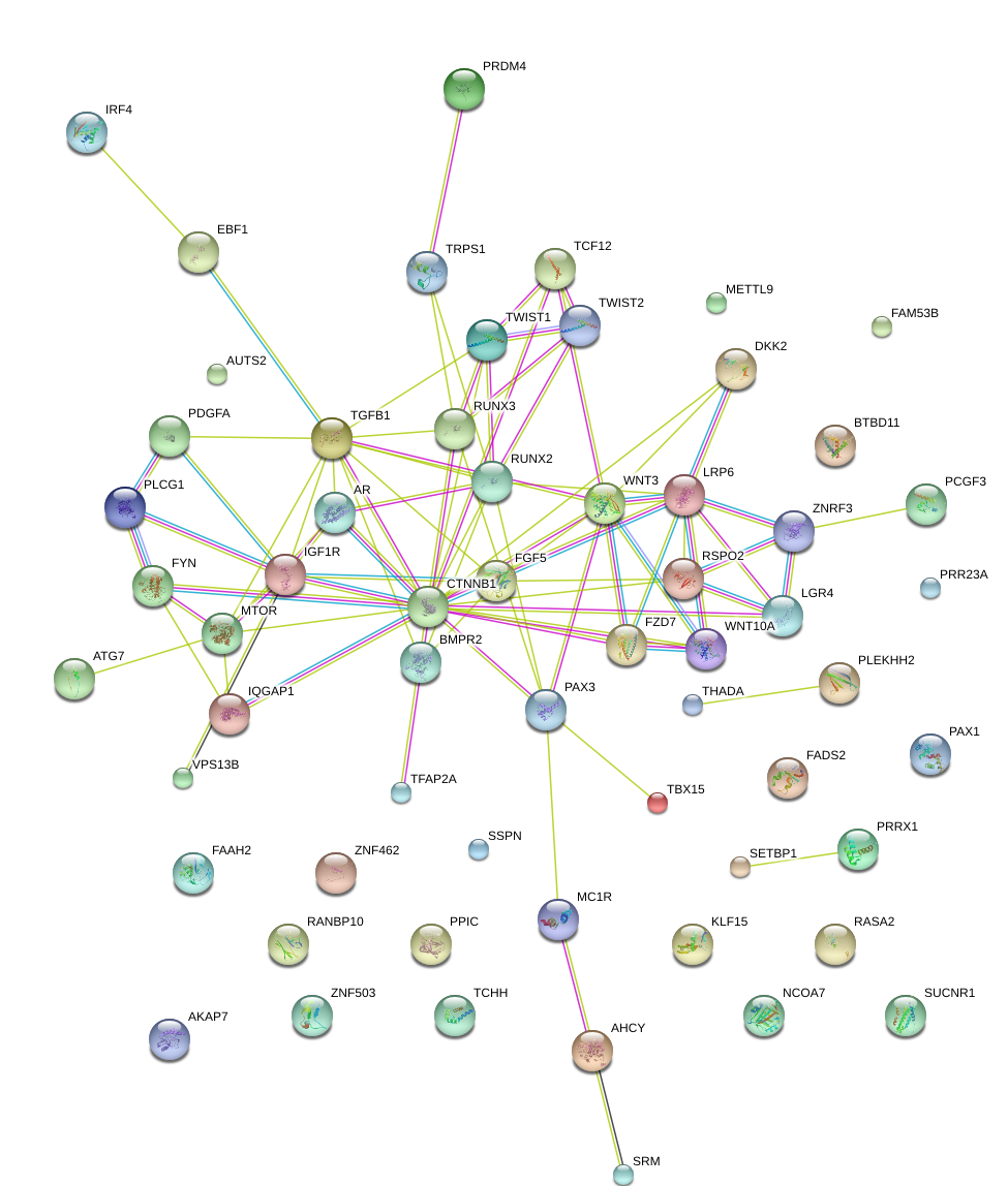 aga_gwas_string2.png