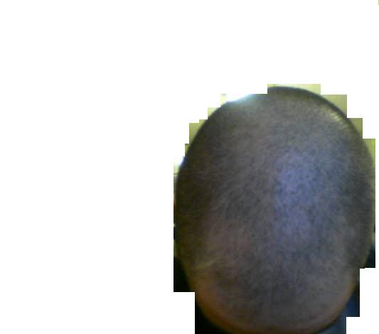 t5