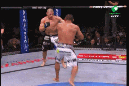 a44lm8.gif
